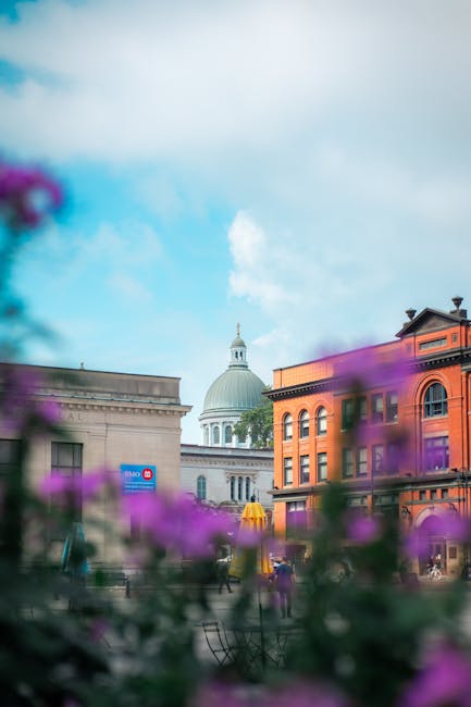 A blurred foreground of purple flowers frames an outdoor scene featuring historic brick buildings with large windows and decorative cornices, set against a bright blue sky with scattered clouds. In th